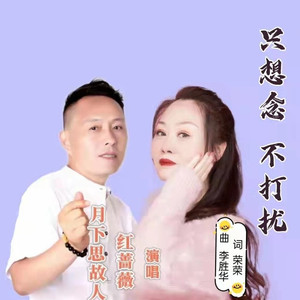 只想念不打扰