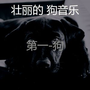睡觉的小狗-爱心