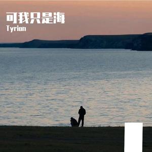 可我只是海