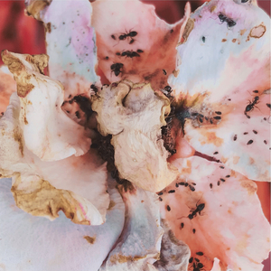 Breathing (Outside of You)