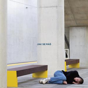 Však to zvládnem (feat. Tina Roof)