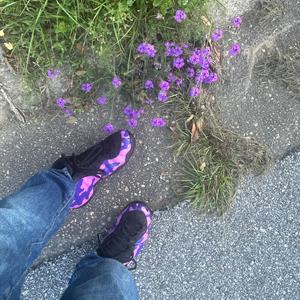 insalubrious thoughts