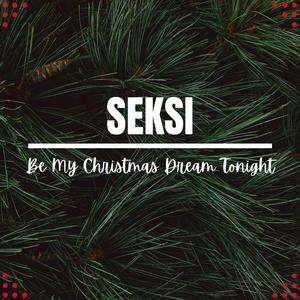 Be My Christmas Dream Tonight