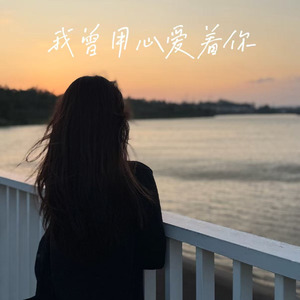我曾用心爱着你(烟嗓版)