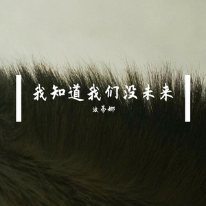 我知道我们没未来