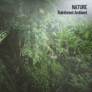 Feels like Rain in the Air