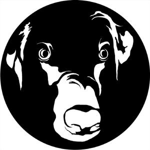 Shining Lights (feat. Wayne Darrin) (Dub Version)