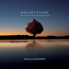 Sallaberry - Latin Nights
