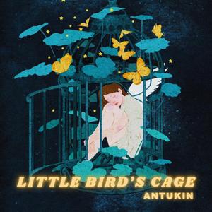 Little Bird's Cage