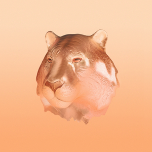 Copper Kiss (HAAi Remix)