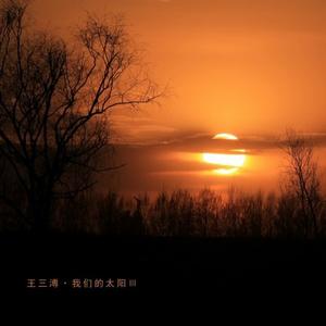 我们的太阳 Ⅲ