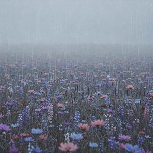 you said you loved me