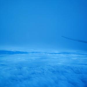 相思遥-翻唱-20251231