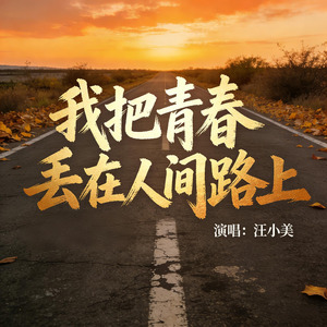 我把青春丢在人间路上