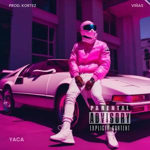 Puesta (feat. VIÑAS)