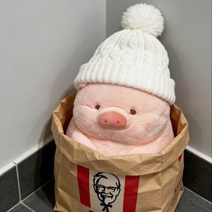 乐柠组合-我们（DJ降调版）（柒佰 remix）