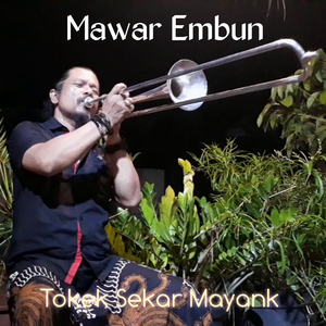 Mawar Embun