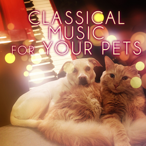 String Quartet No. 15 in A Minor, Op. 132: III. Canzona di ringraziamento (Piano Version)