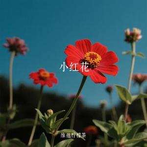 代替我 (维他柠檬茶 Remix)