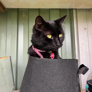 Tiny (feat. (Old Long Bob from Long Ago))