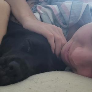 Chasing moonlight dreams