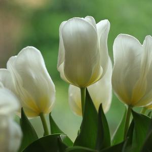 墨与时漪未央夜