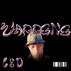 VABBENE (feat. LEOBOI)