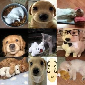 【free】90s 2000s pluggnb type beat