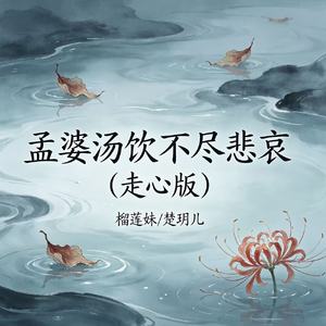 孟婆汤饮不尽悲哀(走心版)