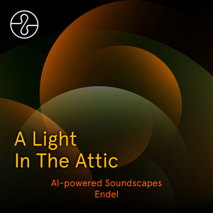 A Light In The Attic