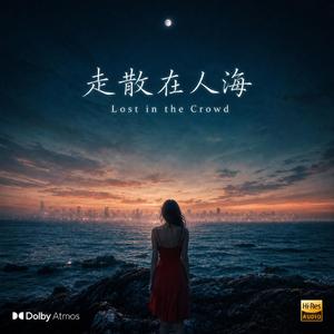 Lost in the Crowd