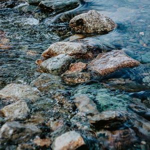 跟随我（Vocal Ver.）