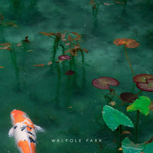 Walpole Park