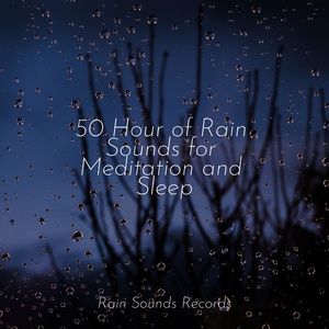 Puddle Jumper Symphony