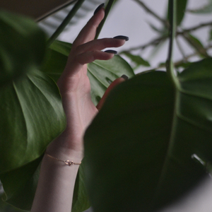 Chandra Namaskara - Moon S