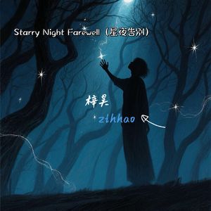 Starry Night Farewell(星夜告别)