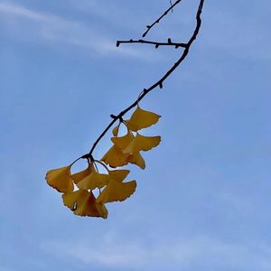 全世界在我身后