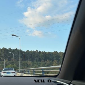 连骂我的时候都觉得你优雅