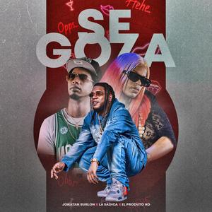 Se Goza (feat. El Producto HD & La Sadica) (Remix)