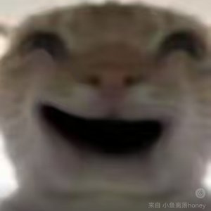 哈基米之歌（蒙古风格）