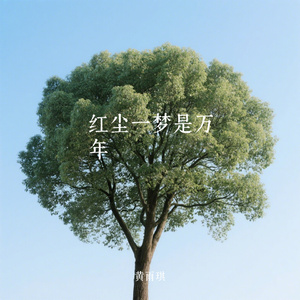 红尘一梦是万年