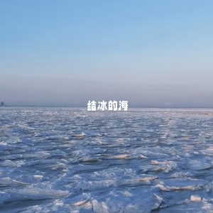 结冰的海