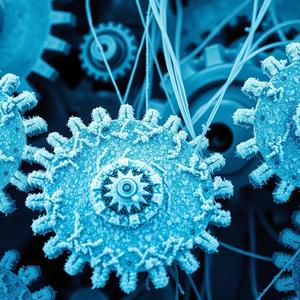 Whispers on the Wind