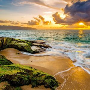 离开是为了更好的明天