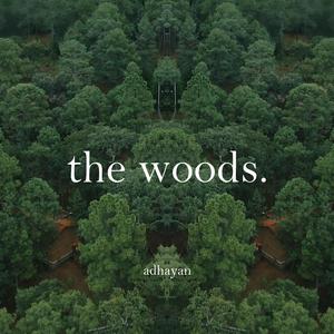 the woods.