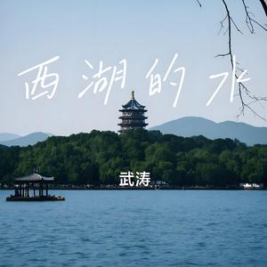 西湖的水