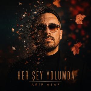 Her şey yolumda