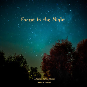 밤의 숲속 (ASMR, 집중 자장가)