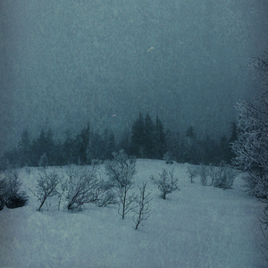Beneath The Snow Covered Trees