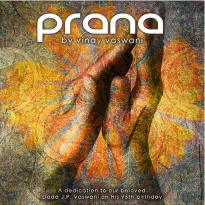 Krishna, Radhe Krishna (Cover) [A Tribute for Our Dearest Dada]